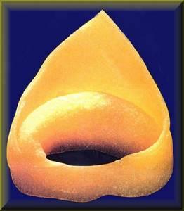 Sagra Del Tortellino - Malalbergo