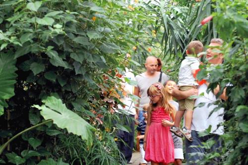 Casa Delle Farfalle  - Cervia