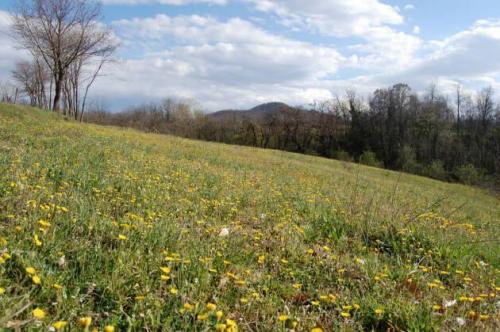 L’ Erbavoglio - Godiasco Salice Terme