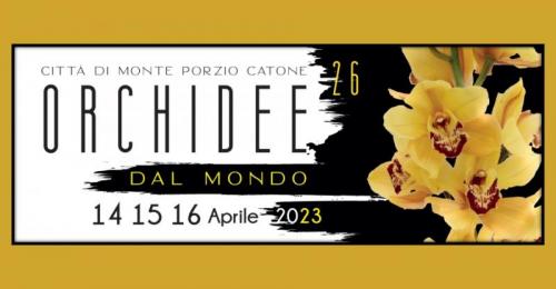 Orchidee In Centro - Monte Porzio Catone