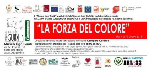 Museo Ugo Guidi - Forte Dei Marmi