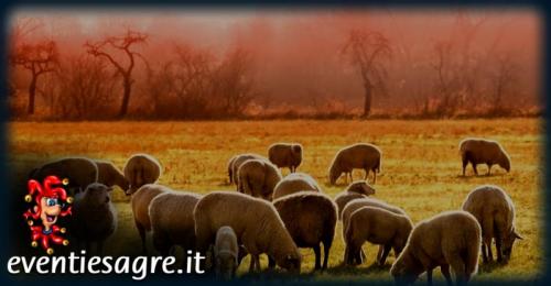 Sagra Della Pecora E Del Formaggio - Bauladu