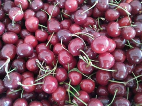 La Festa Delle Ciliegie A Bracigliano - Bracigliano