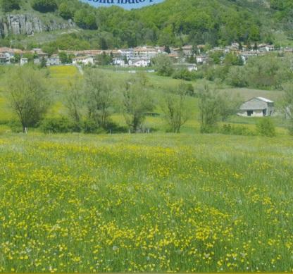 Notte Verde Sul Fumaiolo - Verghereto