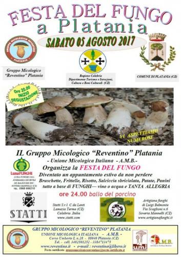 Festa Del Fungo - Platania