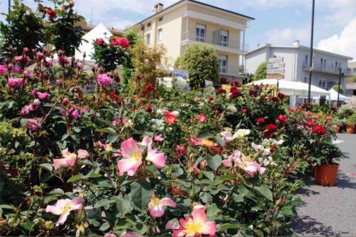Padenghe Verde Expo - Padenghe Sul Garda