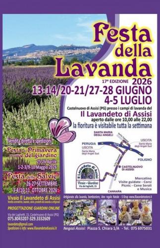 Festa Della Lavanda  - Assisi
