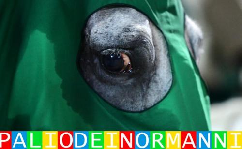 Palio Dei Normanni - Piazza Armerina