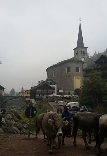 Eventi A Campertogno - Campertogno