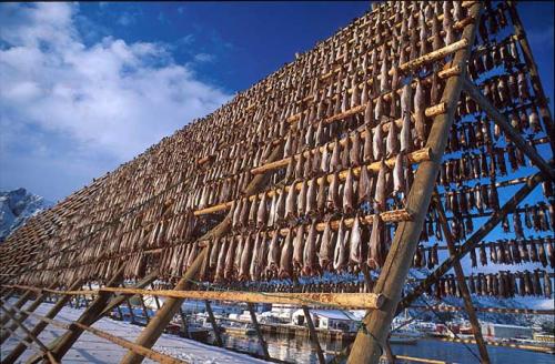 Festival Dello Stoccafisso - Badalucco