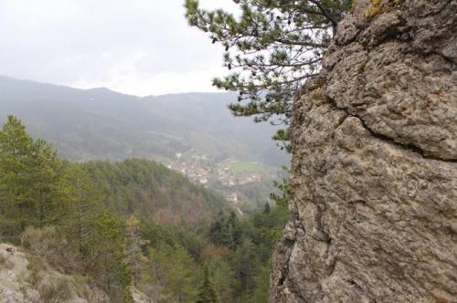 Magnalonga Su I Sentieri Del Lupo - Arezzo
