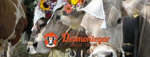 Gran Festa Del Desmontegar - Primiero San Martino Di Castrozza