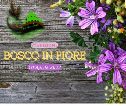 Festa Di Primavera A Mesola - Mesola