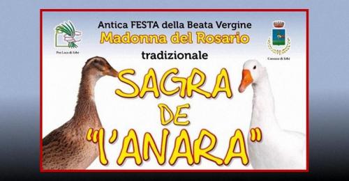 Festa Dell'anara - Erbè