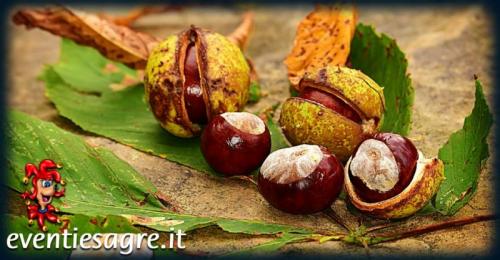 Sagra Della Castagna - Anzano Del Parco