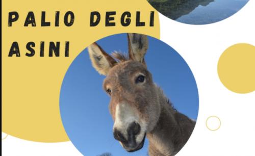 Palio Degli Asini Di Valcanale - Ardesio