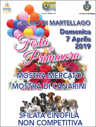 Festa Di Primavera A Martellago - Martellago