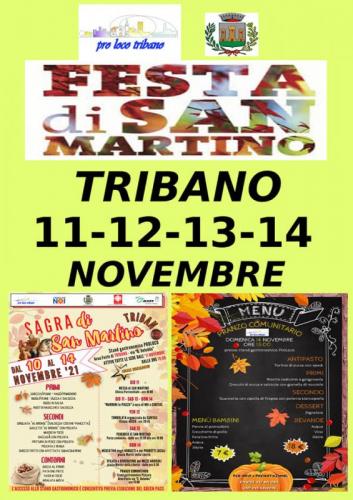 Festa San Martino - Tribano
