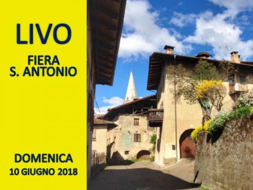 Fiera Di Sant'antonio A Livo - Livo