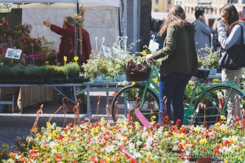 Fior Di Città - Pisa