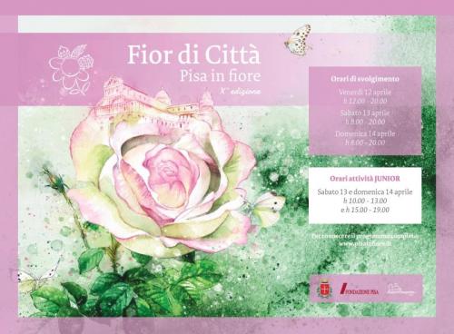Fior Di Città - Pisa