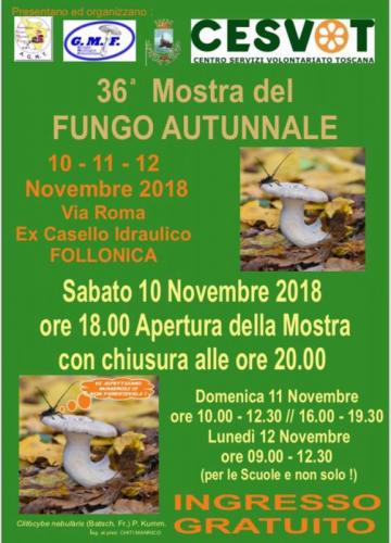 Mostra Del Fungo Autunnale - Follonica