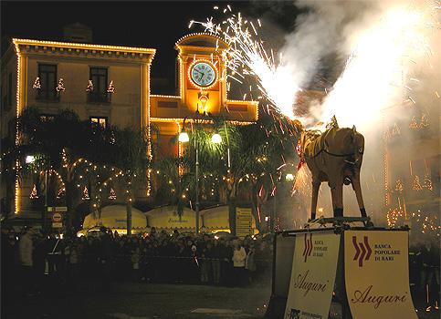 Ciuccio Di Fuoco A Sorrento - Sorrento