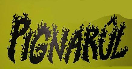 Falò Dell'epifania - San Daniele Del Friuli