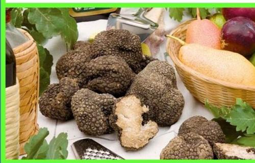 Sagra Del Tartufo E Dei Prodotti Tipici Di Muro Lucano - Muro Lucano