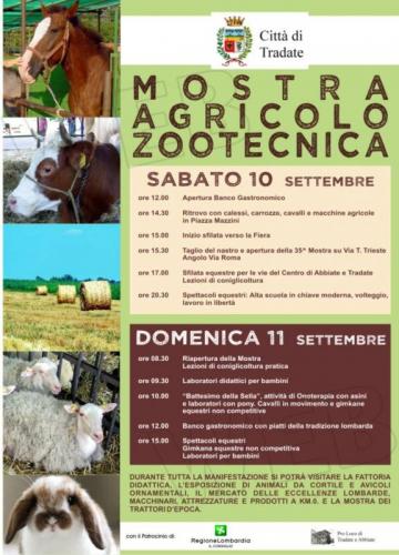 Mostra Agricolo Zootecnica Città Di Tradate  - Tradate