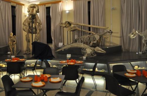 Carnevale Al Museo Di Zoologia - Roma