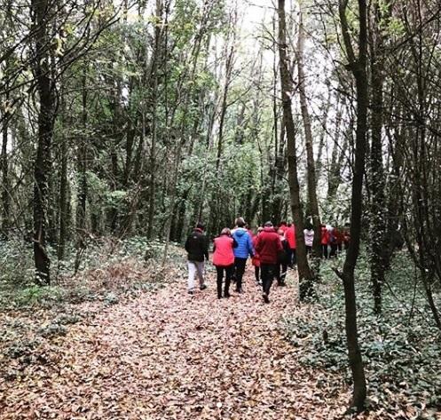 Giornata Contro La Violenza Sulle Donne - 