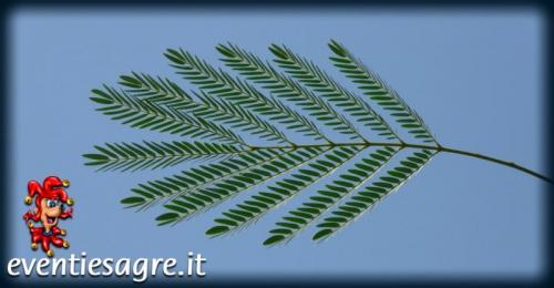 Itinerario Rosa - Lecce