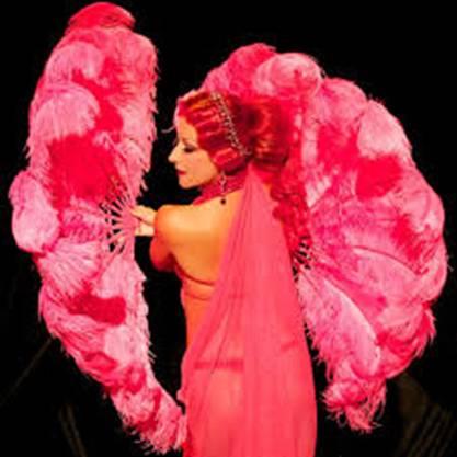 La Vedova Allegra - Milano