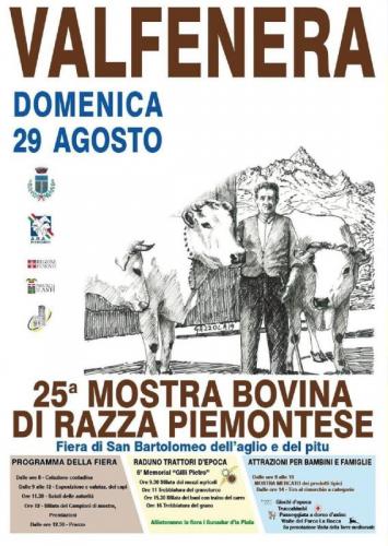 La Mostra Bovina Di Razza Piemontese Di Valfenera - Valfenera