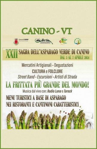Sagra Dell'asparago A Canino - Canino