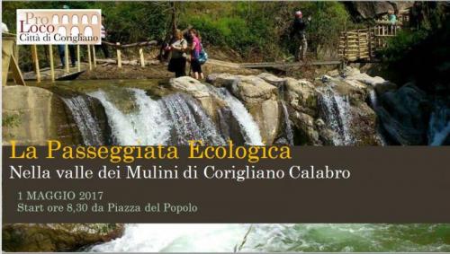 Primo Maggio A Corigliano Centro - Corigliano-Rossano