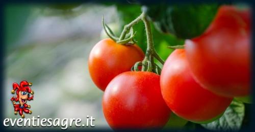 Mercato Contadino - Ferrara