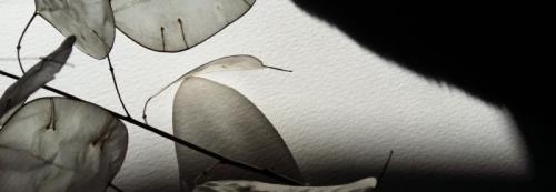 Eventi A Vinovo - Vinovo