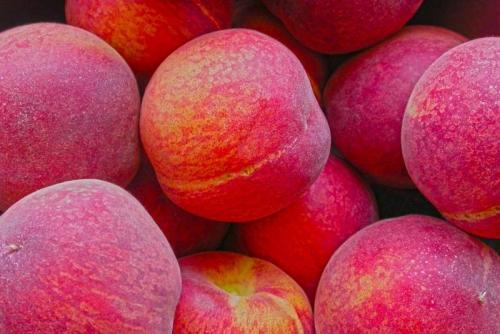 Sagra Delle Pesche - Casciana Terme Lari