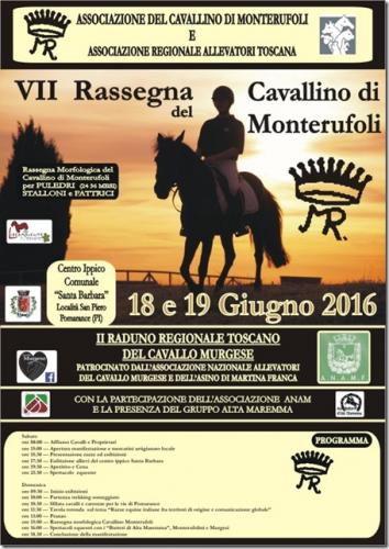 Rassegna Del Cavallino Di Monterufoli - Pomarance