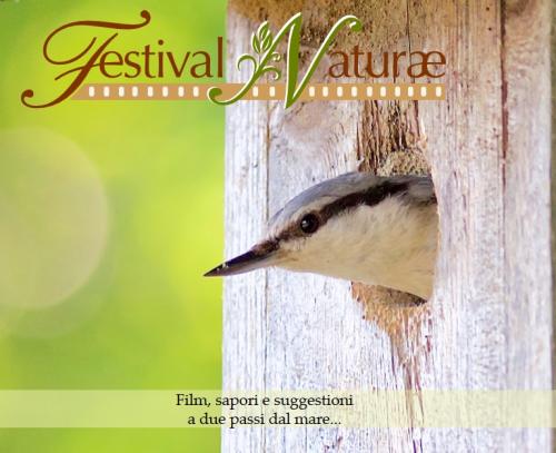 Festival Naturae - Ravenna