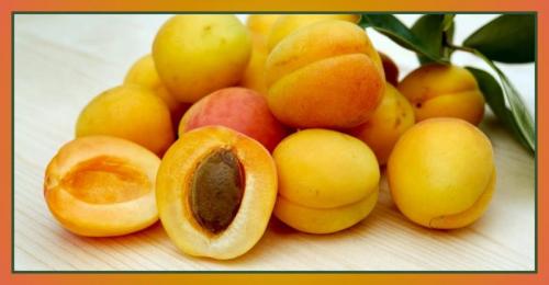 Sagra Dell'albicocca - Rotondella