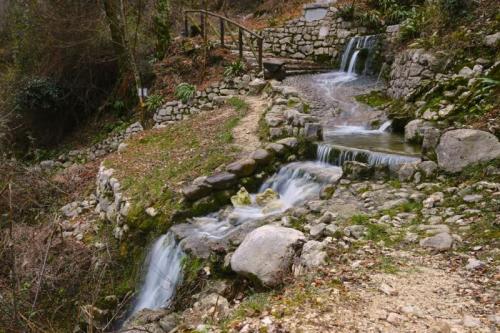 Visite Guidate - Pordenone