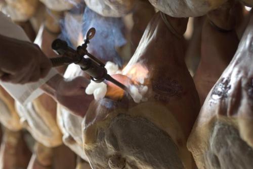 Festival Del Prosciutto Di Parma - Parma