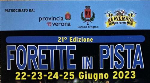 Forette In Pista - Vigasio