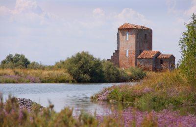 Parco Del Delta Del Po - Comacchio
