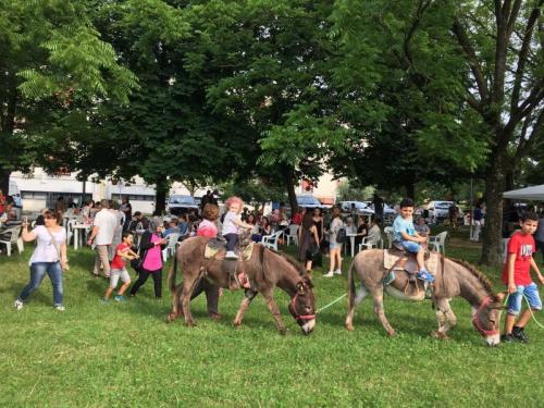 Festa Dei Vicini - Reggio Emilia