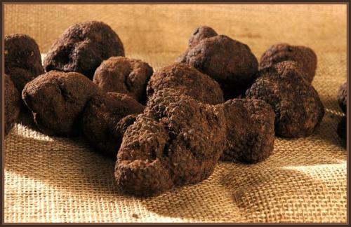 Rassegna Del Tartufo - Roseto Valfortore