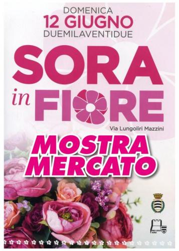 Sora In Fiore Mostra Mercato  - Sora